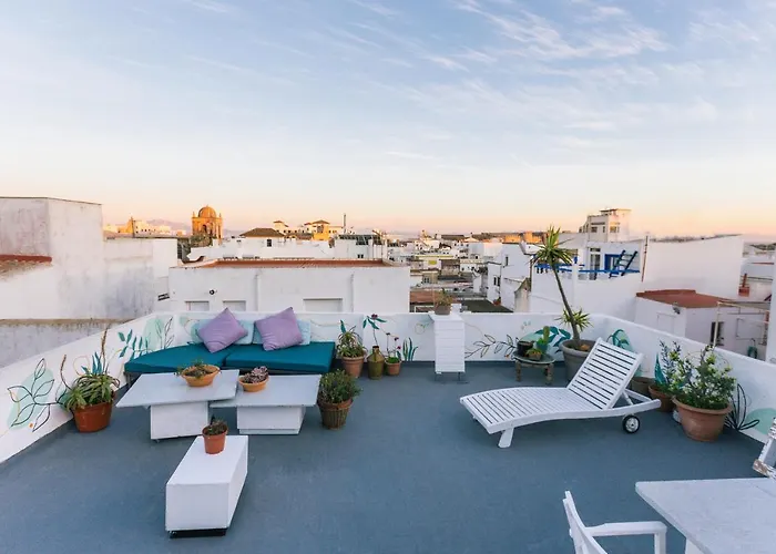 Hotel que admite mascotas: La Cocotera Boutique Hostel & Coworking